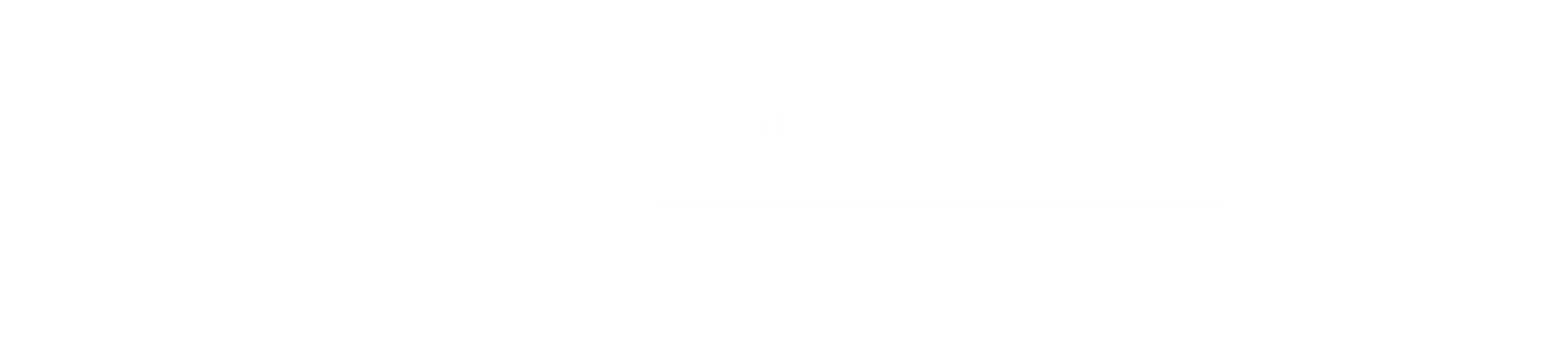 vsvkgroup.com